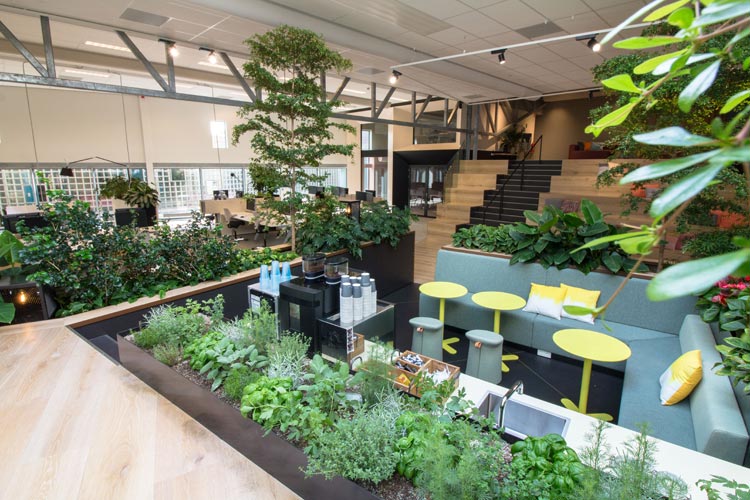 Interieurbouw kantoor